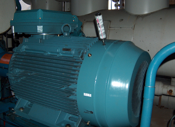 El lubricador automático simalube 250ml lubrica un motor eléctrico en una planta química.
